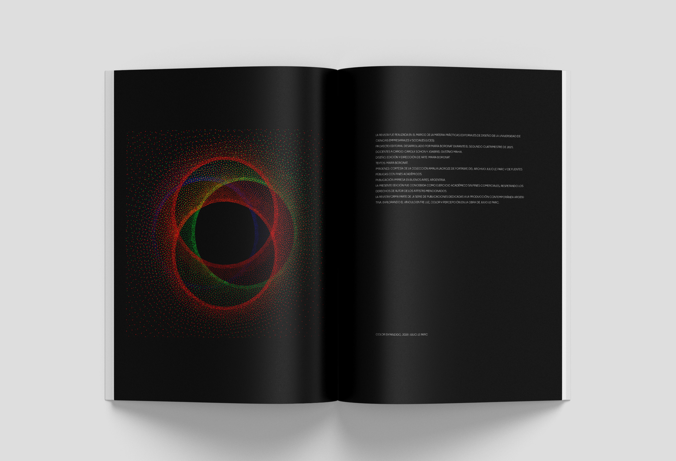 Julio Le Parc 16