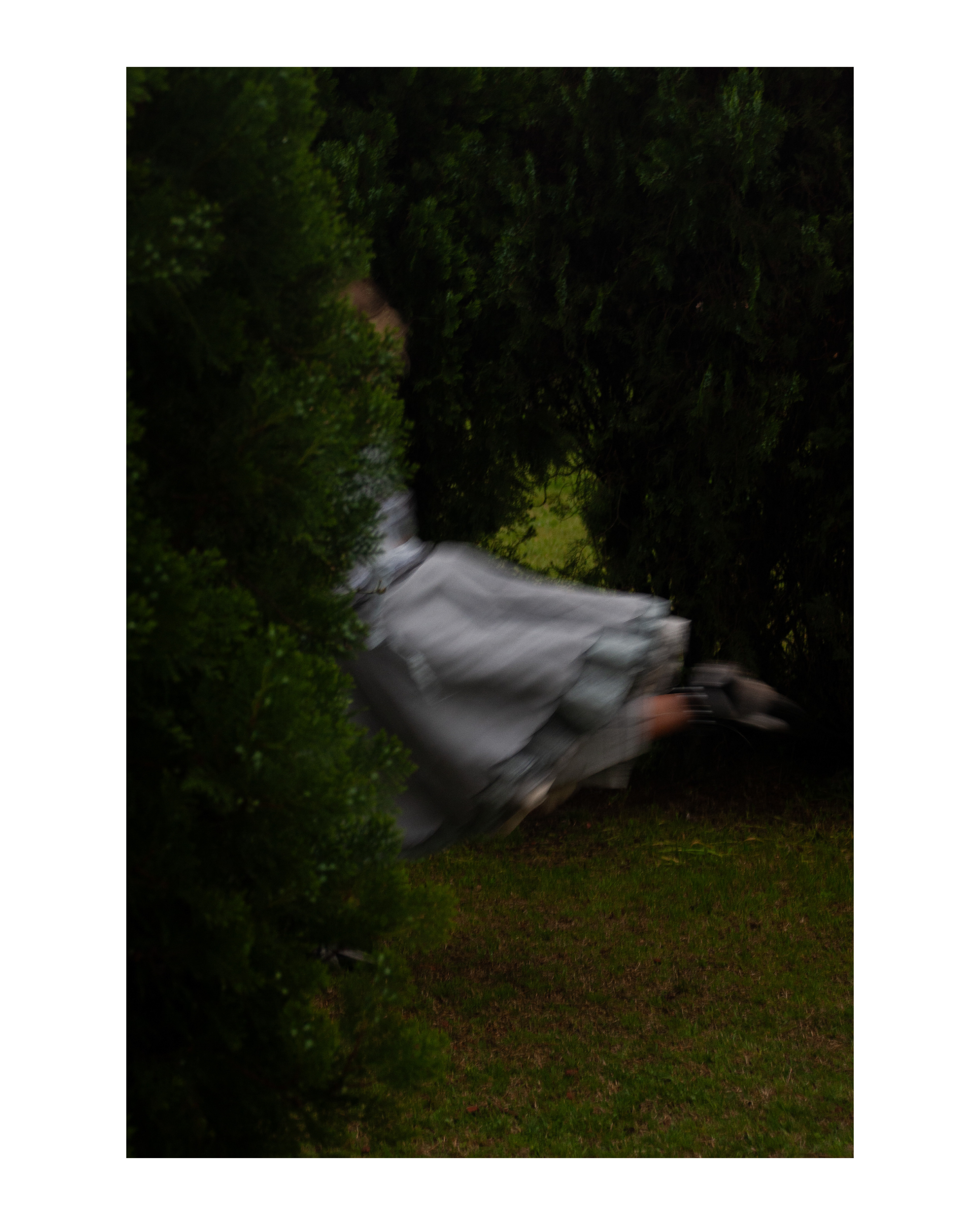 Fotografía 08